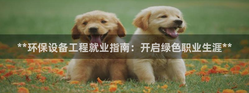 彩名堂怎么用不了了：**环保设备工程