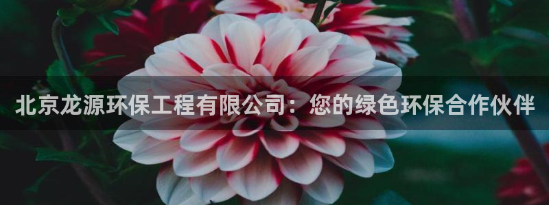 彩名堂怎么用不输：北京龙源环保工程有