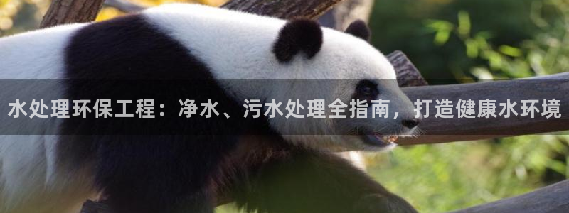 彩名堂官网计划01：水处理环保工程：