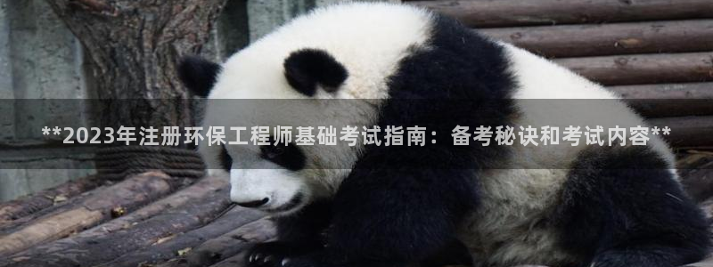 彩名堂官网2：**2023年注册环保