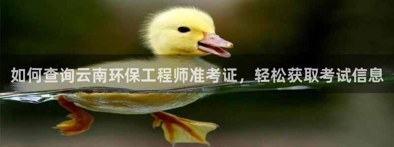 cmt彩名堂：如何查询云南环保工程师