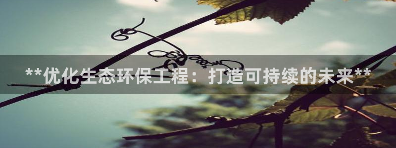 彩名堂免费计划官网老版本：**优化生