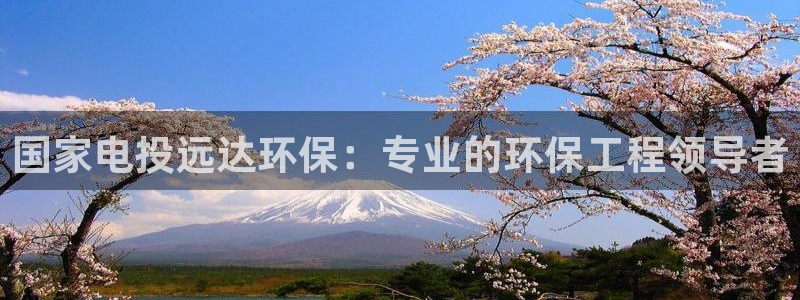 彩名堂3d：国家电投远达环保：专业的