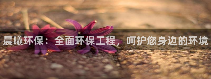 彩名堂一直不出结果怎么回事：晨曦环保
