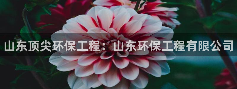 彩名堂计划技巧：山东顶尖环保工程：山