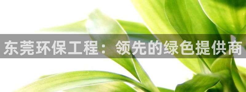 彩名堂计划软件下载：东莞环保工程：领