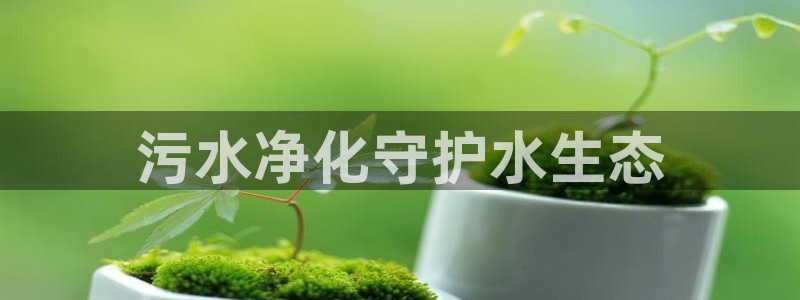 彩名堂人工计划怎么找不到下载了?：污