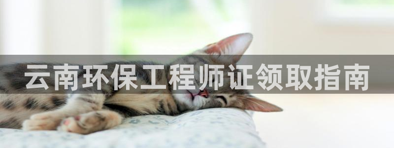 彩名堂全天计划：云南环保工程师证领取指南
