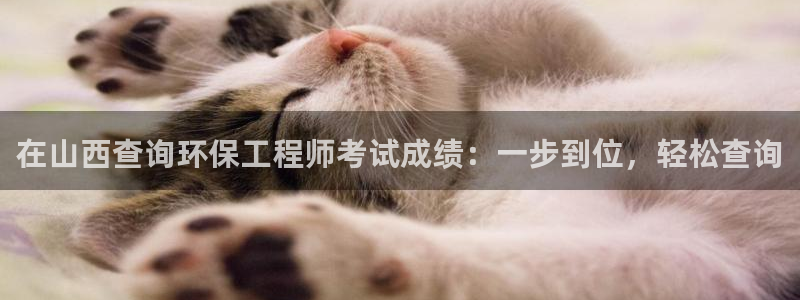 彩名堂全天计划：在山西查询环保工程师考试成绩：一步到位，轻松查询