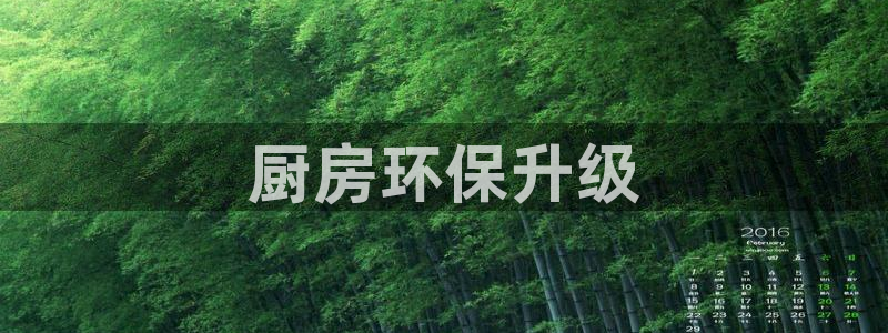 彩名堂合作655560：厨房环保升级