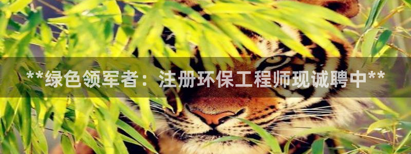 彩名堂还能用吗：**绿色领军者：注册