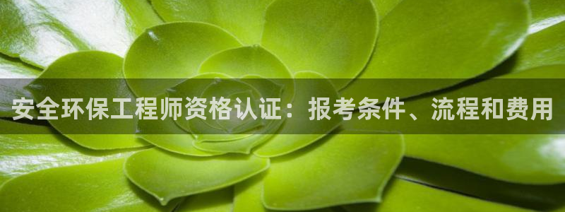 彩名堂用不了：安全环保工程师资格认证