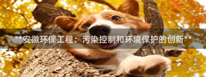 彩名堂预测计划：**安徽环保工程：污
