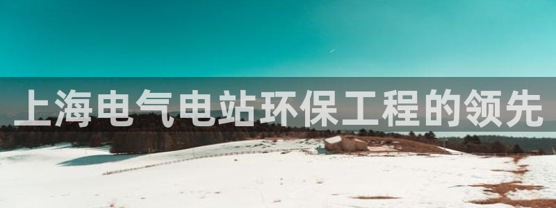 彩名堂官网网页计划：上海电气电站环保工程的领先
