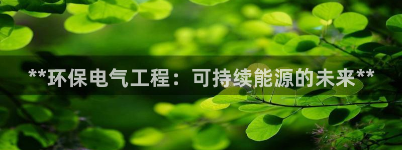 彩名堂人工计划客户端：**环保电气工