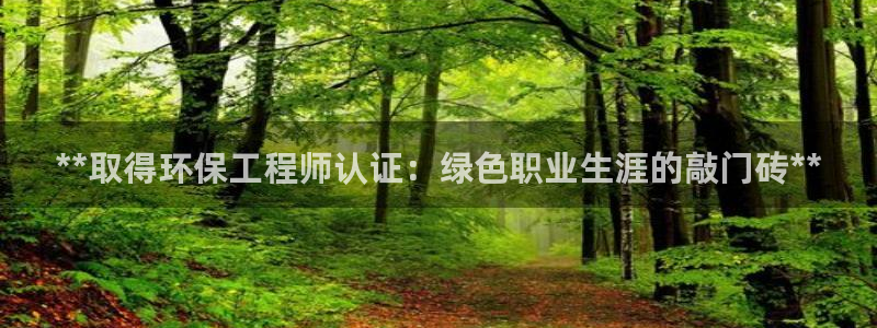 彩名堂使用方法：**取得环保工程师认