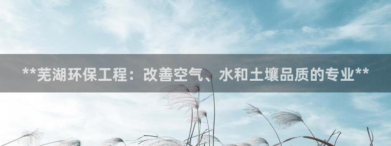 彩名堂双彩网：**芜湖环保工程：改善