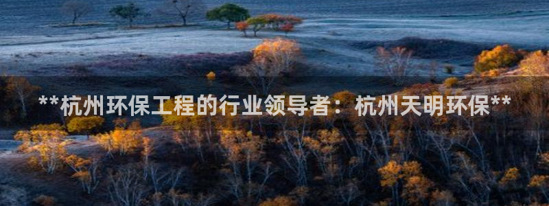 彩名堂官网计划怎么下载到手机：**杭