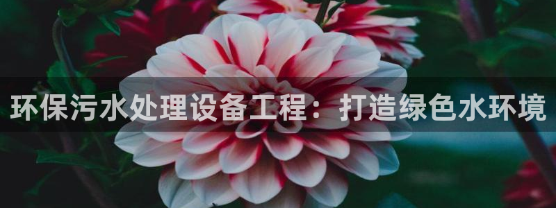 彩名堂为什么突然不能用了：环保污水处