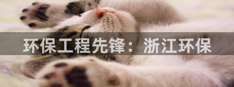 彩名堂计划技巧有哪些：环保工程先锋：