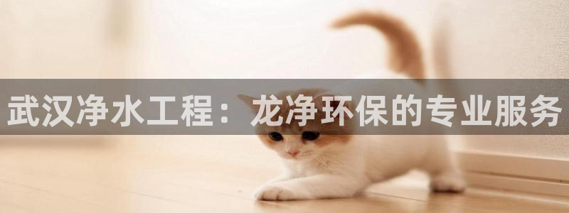 彩名堂官方下载地址：武汉净水工程：龙净环保的专业服务