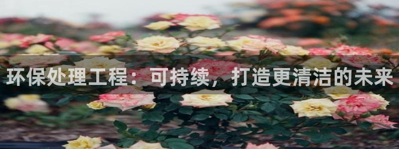 彩名堂人工计划客户端：环保处理工程：