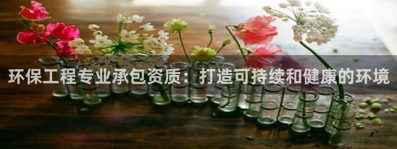彩名堂怎么跟计划才不连挂：环保工程专业承包资质：打造可持续和健康的环境