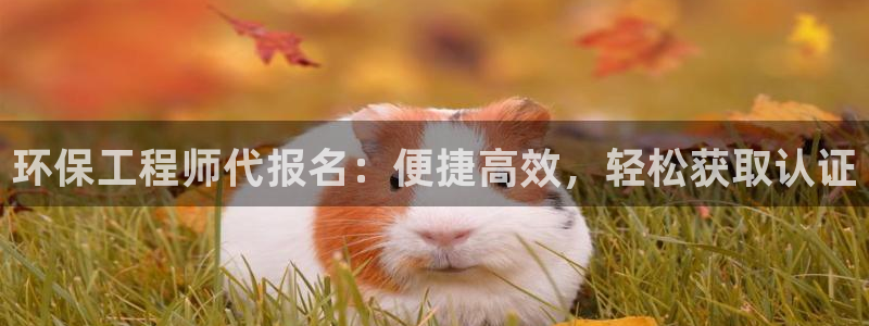 下载彩名堂预测计划软件安装：环保工程