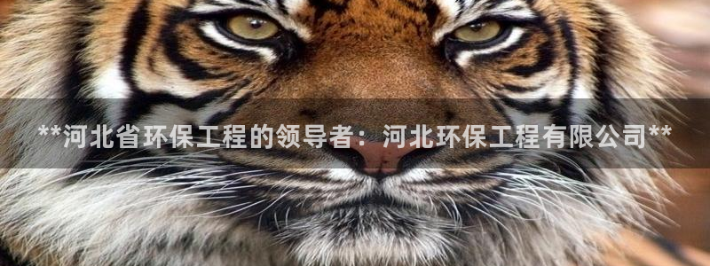 彩名堂预测：**河北省环保工程的领导者：河北环保工程有限公司**