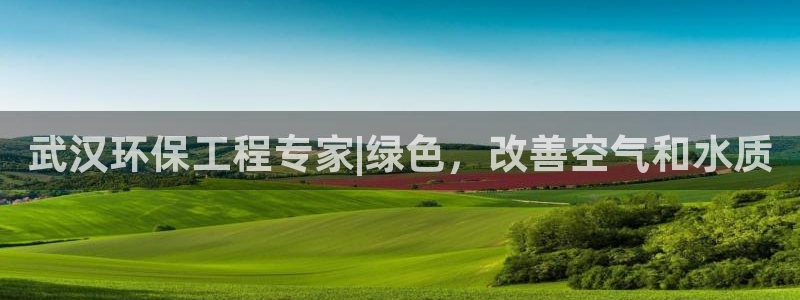 彩名堂计划软件下载：武汉环保工程专家