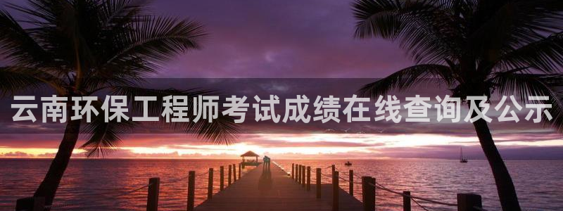 彩名堂旧版本：云南环保工程师考试成绩