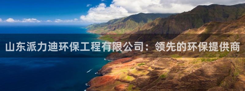 彩名堂全天计划：山东派力迪环保工程有