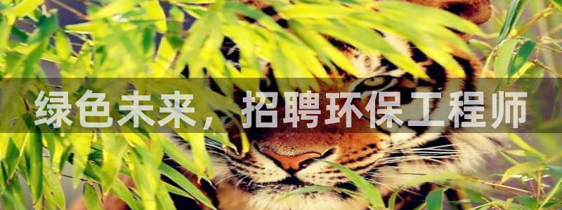 彩名堂计划怎么买胜率高：绿色未来，招