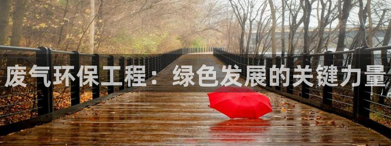 彩名堂免费计划使用方法是什么：废气环