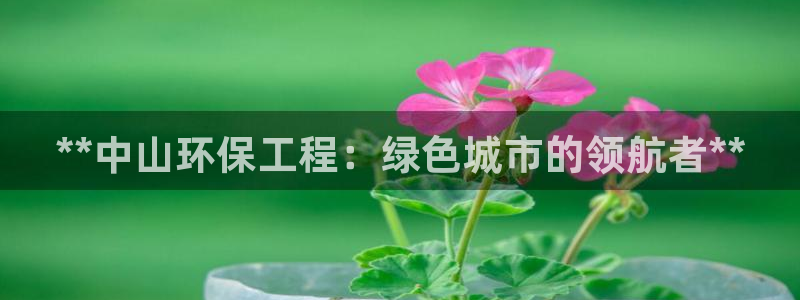 下载苹果手机版彩名堂：**中山环保工