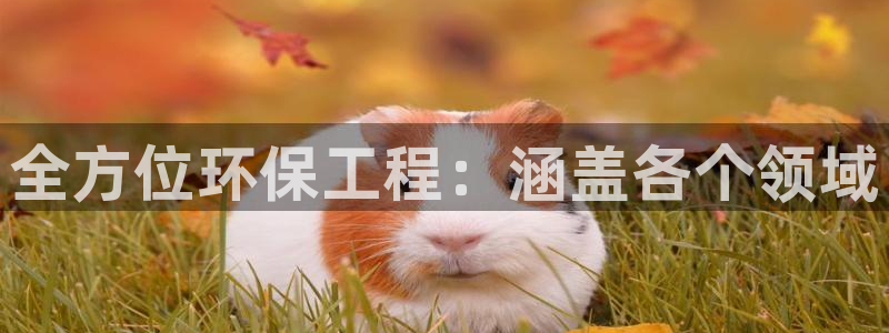 彩名堂免费计划官网购彩计划：全方位环