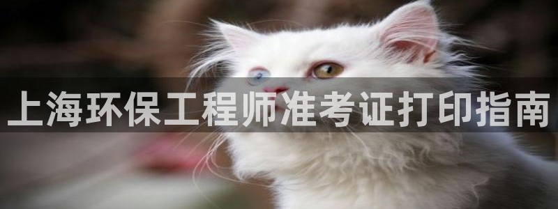 彩名堂app2.05版本：上海环保工