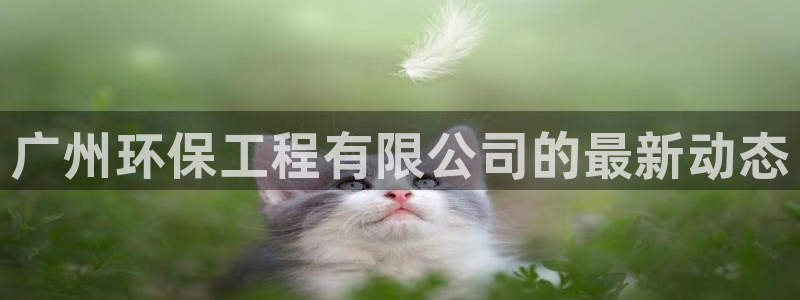 老版彩名堂：广州环保工程有限公司的最