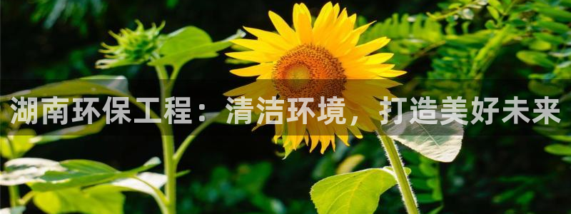 彩名堂免费计划官网怎么进不去了呀：湖