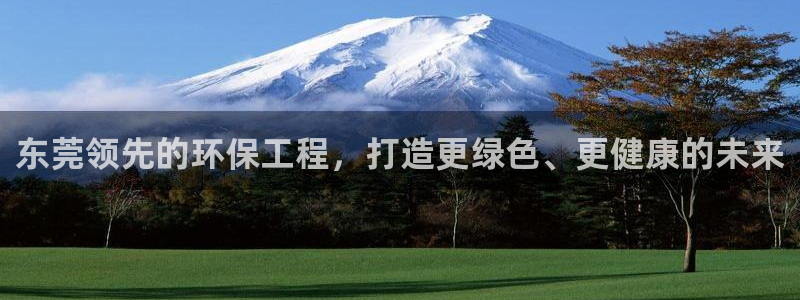 彩名堂官网2：东莞领先的环保工程，打