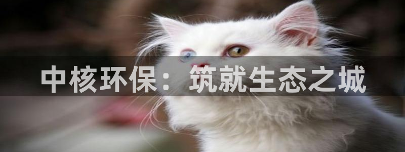 彩名堂排三：中核环保：筑就生态之城