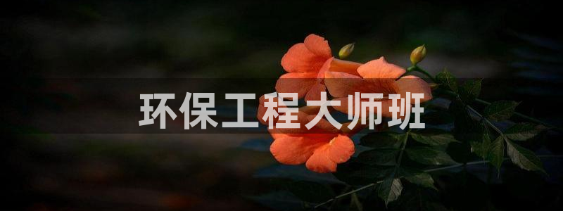 彩名堂首页：环保工程大师班