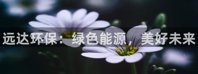 彩名堂预测软件与分析：远达环保：绿色