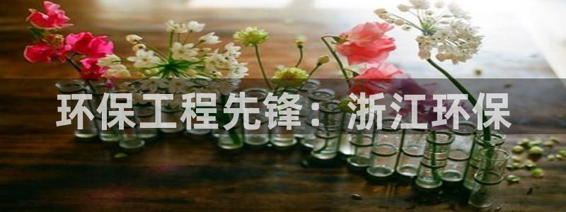 彩名堂二维码：环保工程先锋：浙江环保