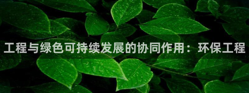 彩名堂官网客户端：工程与绿色可持续发