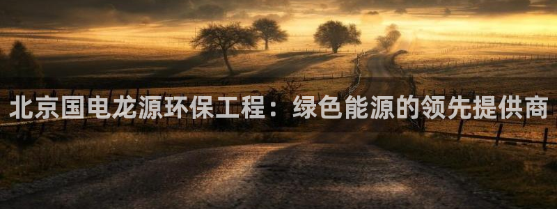 彩名堂改成什么名字了：北京国电龙源环