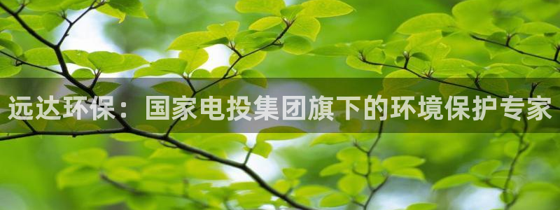 彩名堂移动客户端官网：远达环保：国家