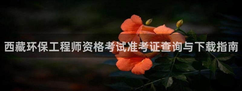 彩名堂官网计划怎么下载到手机：西藏环