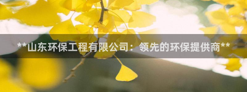 彩名堂预测软件：**山东环保工程有限