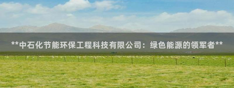 彩名堂官网：**中石化节能环保工程科技有限公司：绿色能源的领军者**
